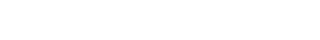 Seedomedia logo grey